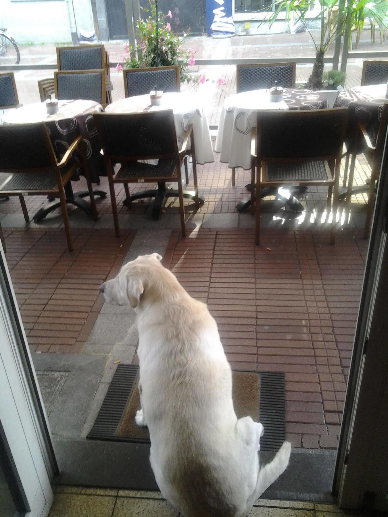 黑尔特酒店 亨克 外观 照片